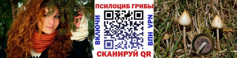 наркошоп  Новошахтинск  Галлюциногенные грибы мицелий 