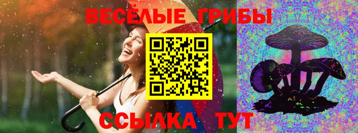 Галлюциногенные грибы ЛСД Новошахтинск