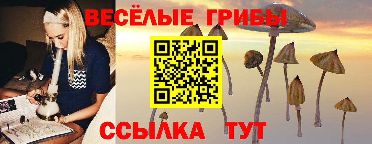 Новошахтинск  Галлюциногенные грибы ЛСД  Вход с VPN 