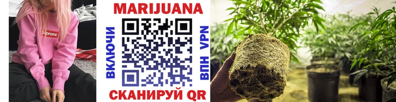 Марихуана White Widow  блэк спрут онион  Новошахтинск 